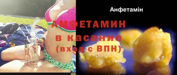 дживик Пересвет