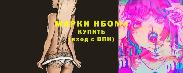 дживик Пересвет