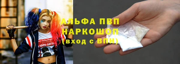 дживик Пересвет