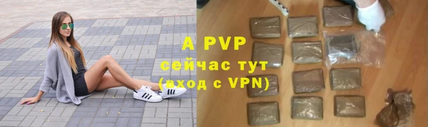 дживик Пересвет