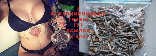 дживик Пересвет