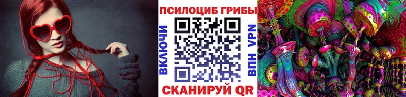 Галлюциногенные грибы Psilocybine cubensis  Купить где  Брюховецкая 